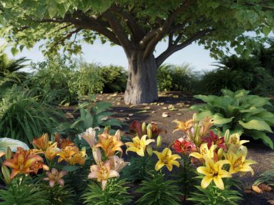 Asiatische Lilien unter Walnussbäumen: Wie viel Juglon vertragen sie?