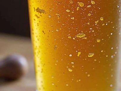 Ihr Bierkonsum könnte erklären, warum Mücken Sie häufiger stechen, sagen Forschende
